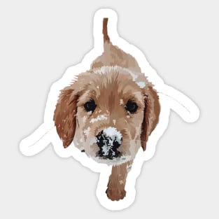 Golden retriever puppy Sticker